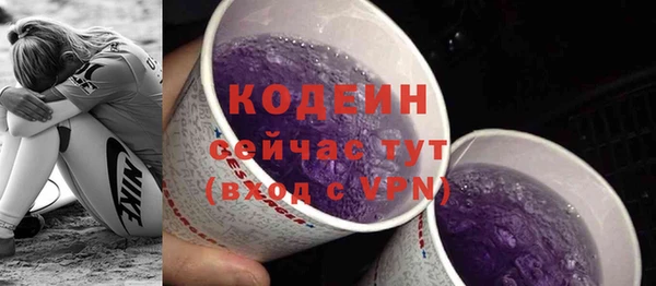 соль ск Бородино