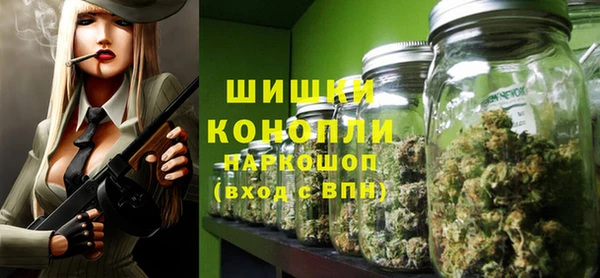 соль ск Бородино