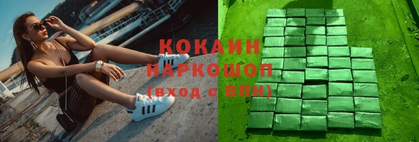 соль ск Бородино