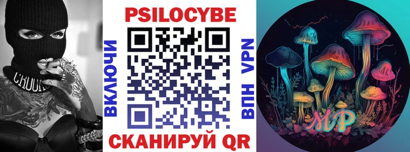 shop как зайти  Кинешма  Галлюциногенные грибы Psilocybe 